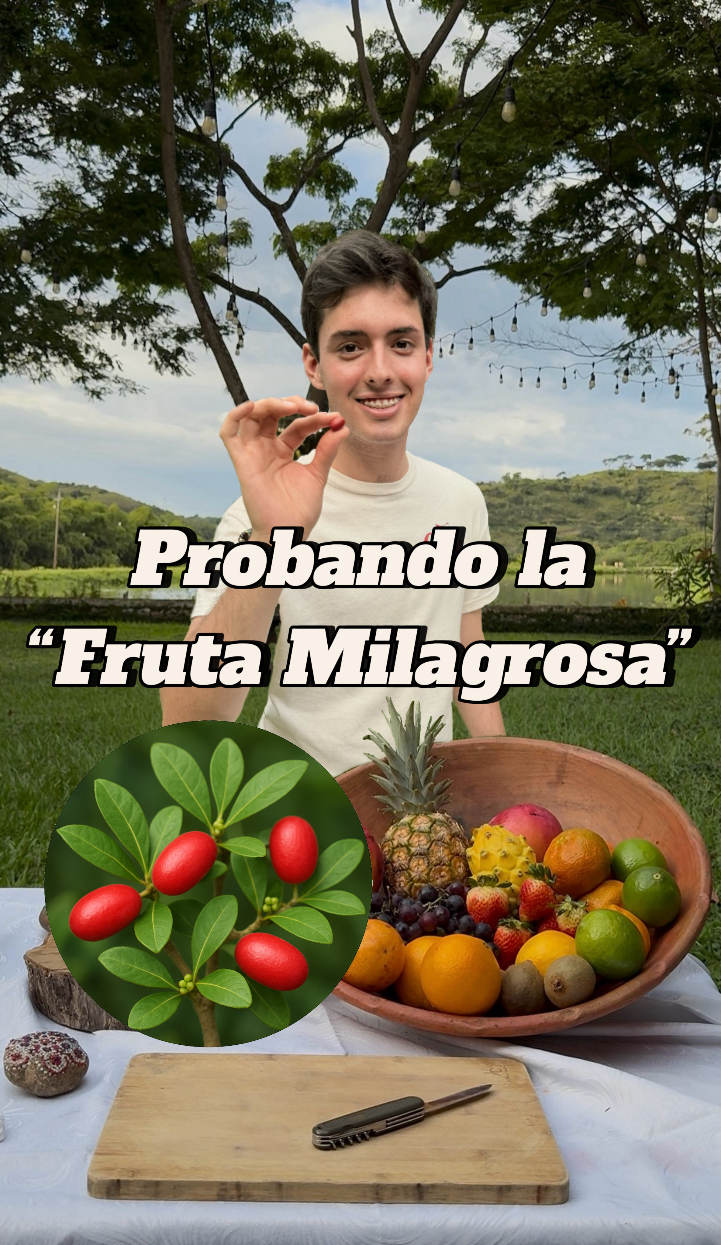 Grabar videos